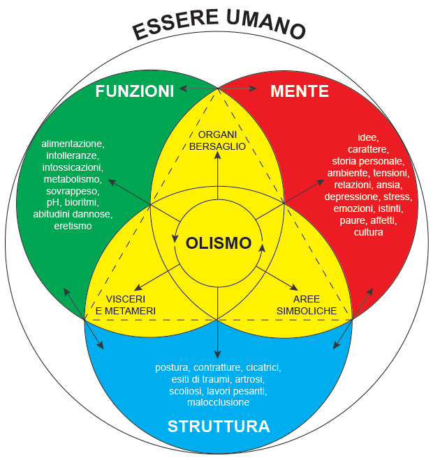 L’Olismologia<sup>®</sup> introduce una nuova forma mentis medica davvero olistica.