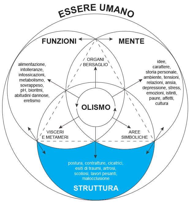 Aree di competenza limitata degli Specialisti