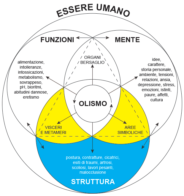 Competenze inter-disciplinari