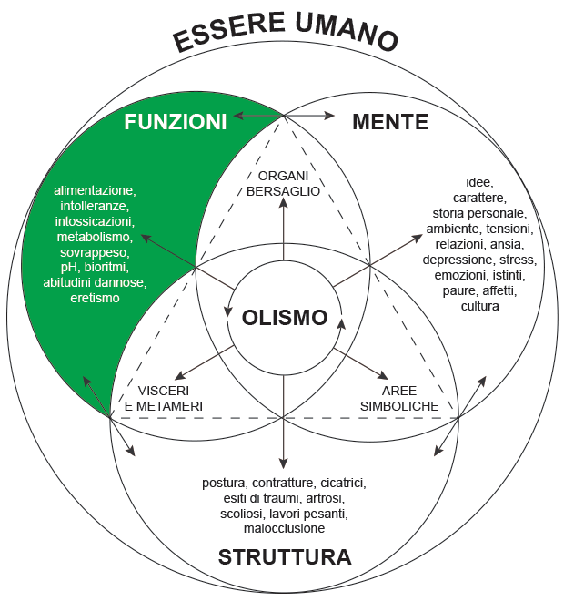 Aree di competenza limitata degli Specialisti