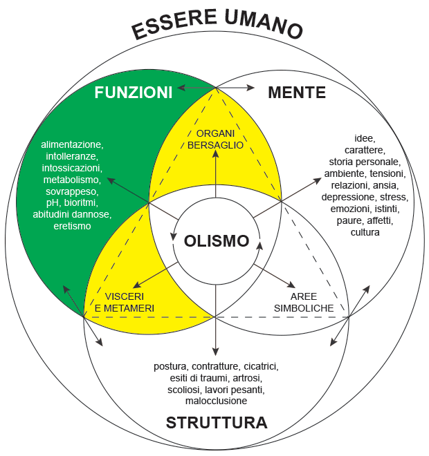 Competenze inter-disciplinari
