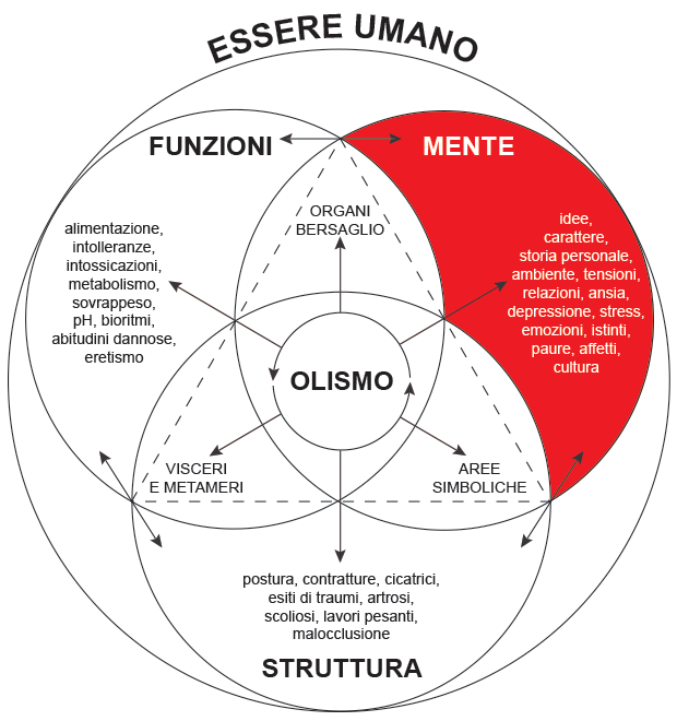 Aree di competenza limitata degli Specialisti