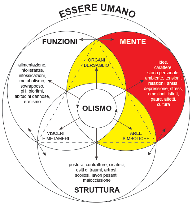 Competenze inter-disciplinari